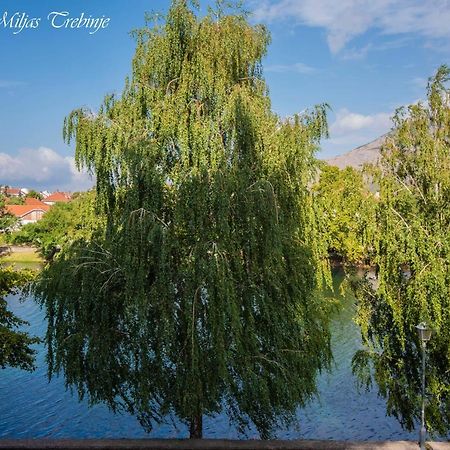 Hotel Smjestaj Miljas Trebinje Extérieur photo