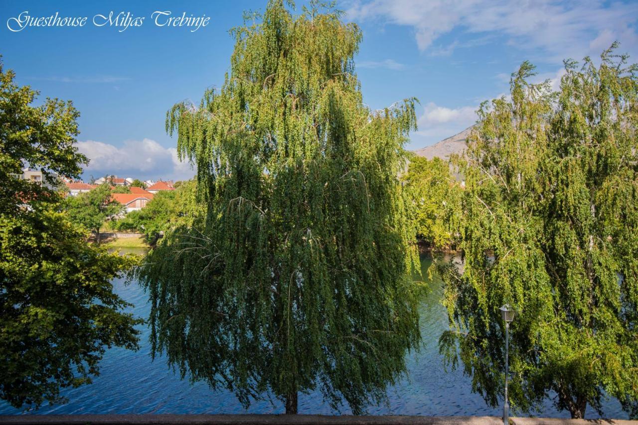 Hotel Smjestaj Miljas Trebinje Extérieur photo